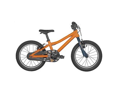 SCOTT ROXTER 16 2024 orange